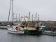 golfe-saint-laurent-1